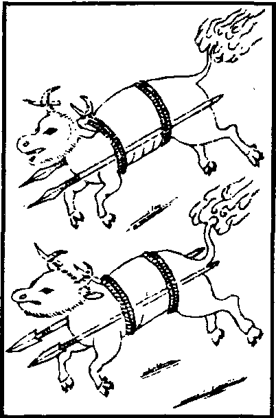 火牛_火牛介紹_歷史知識