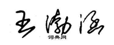 朱錫榮王渤涵草書個性簽名怎么寫