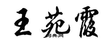 胡問遂王苑霞行書個性簽名怎么寫