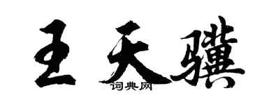 胡問遂王天驥行書個性簽名怎么寫