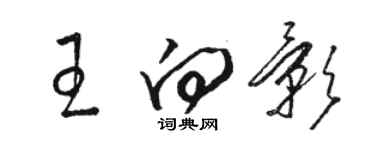 駱恆光王向影草書個性簽名怎么寫