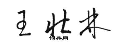 駱恆光王壯林草書個性簽名怎么寫