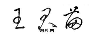 駱恆光王君苗草書個性簽名怎么寫