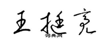 梁錦英王挺亮草書個性簽名怎么寫