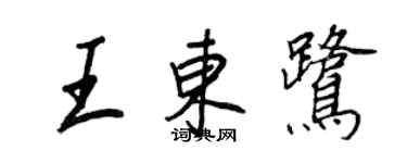 王正良王東鷺行書個性簽名怎么寫