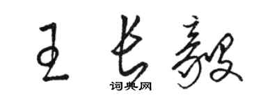 駱恆光王長毅草書個性簽名怎么寫