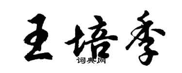 胡問遂王培季行書個性簽名怎么寫