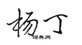 駱恆光楊丁行書個性簽名怎么寫