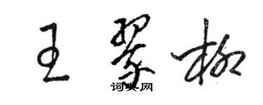 駱恆光王翠柳草書個性簽名怎么寫