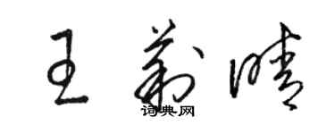 駱恆光王莉晴草書個性簽名怎么寫