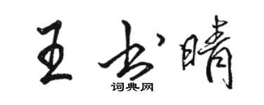 駱恆光王書晴行書個性簽名怎么寫