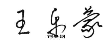 駱恆光王樂蒙草書個性簽名怎么寫