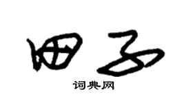 朱錫榮田子草書個性簽名怎么寫