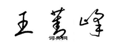 梁錦英王菁峰草書個性簽名怎么寫