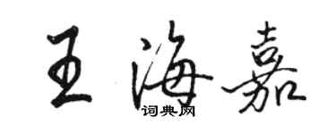 駱恆光王海嘉行書個性簽名怎么寫