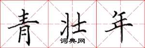 田英章青壯年楷書怎么寫