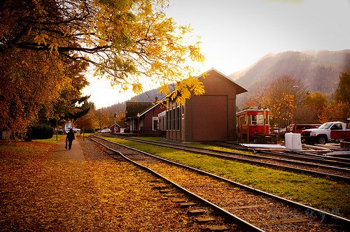 用千真萬確造句