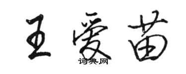 駱恆光王愛苗行書個性簽名怎么寫