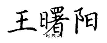 丁謙王曙陽楷書個性簽名怎么寫