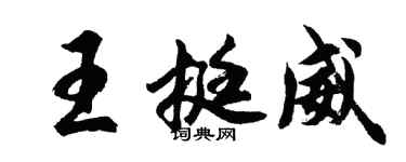 胡問遂王挺威行書個性簽名怎么寫