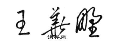 駱恆光王華野草書個性簽名怎么寫