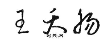 駱恆光王夭腸草書個性簽名怎么寫
