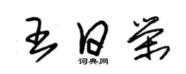 朱錫榮王日榮草書個性簽名怎么寫