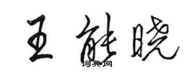 駱恆光王能曉行書個性簽名怎么寫