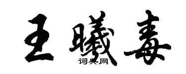胡問遂王曦毒行書個性簽名怎么寫