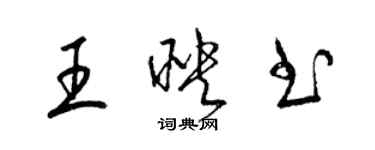 梁錦英王映書草書個性簽名怎么寫