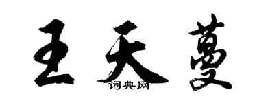 胡問遂王天蔓行書個性簽名怎么寫