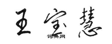 駱恆光王寶慧行書個性簽名怎么寫