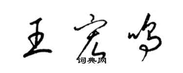 梁錦英王宏鳴草書個性簽名怎么寫
