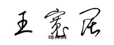 梁錦英王寬闊草書個性簽名怎么寫