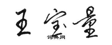 駱恆光王寶量行書個性簽名怎么寫