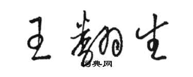 駱恆光王翻生草書個性簽名怎么寫