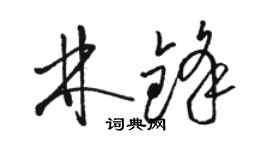 駱恆光林鋒草書個性簽名怎么寫