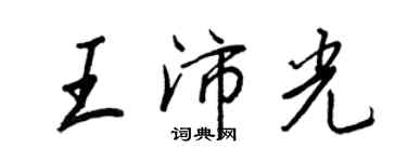王正良王沛光行書個性簽名怎么寫