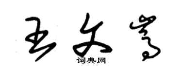 朱錫榮王文嵩草書個性簽名怎么寫