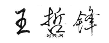 駱恆光王哲鋒行書個性簽名怎么寫