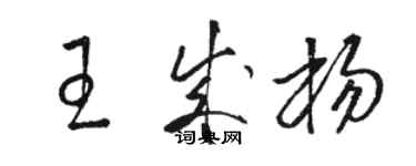 駱恆光王成楊草書個性簽名怎么寫