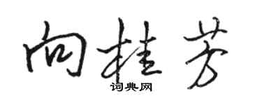 駱恆光向桂芳行書個性簽名怎么寫