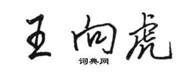 駱恆光王向虎行書個性簽名怎么寫