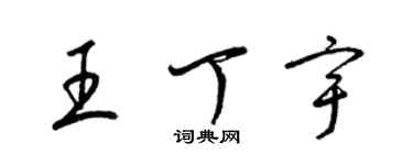 梁錦英王丁宇草書個性簽名怎么寫