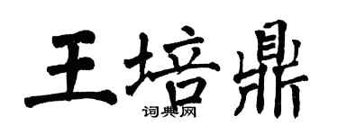 翁闓運王培鼎楷書個性簽名怎么寫