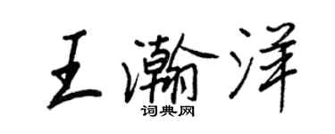 王正良王瀚洋行書個性簽名怎么寫