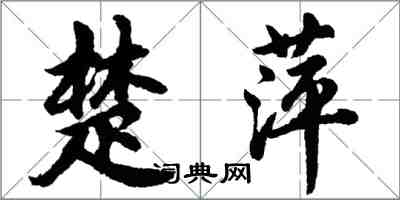 胡問遂楚萍行書怎么寫