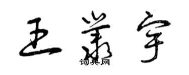 曾慶福王叢宇草書個性簽名怎么寫