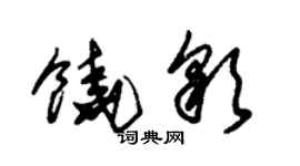 朱錫榮饒彩草書個性簽名怎么寫