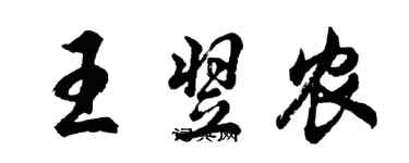 胡問遂王翌農行書個性簽名怎么寫